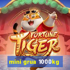 mini grua 1000kg